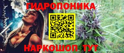 скорость Обнинск