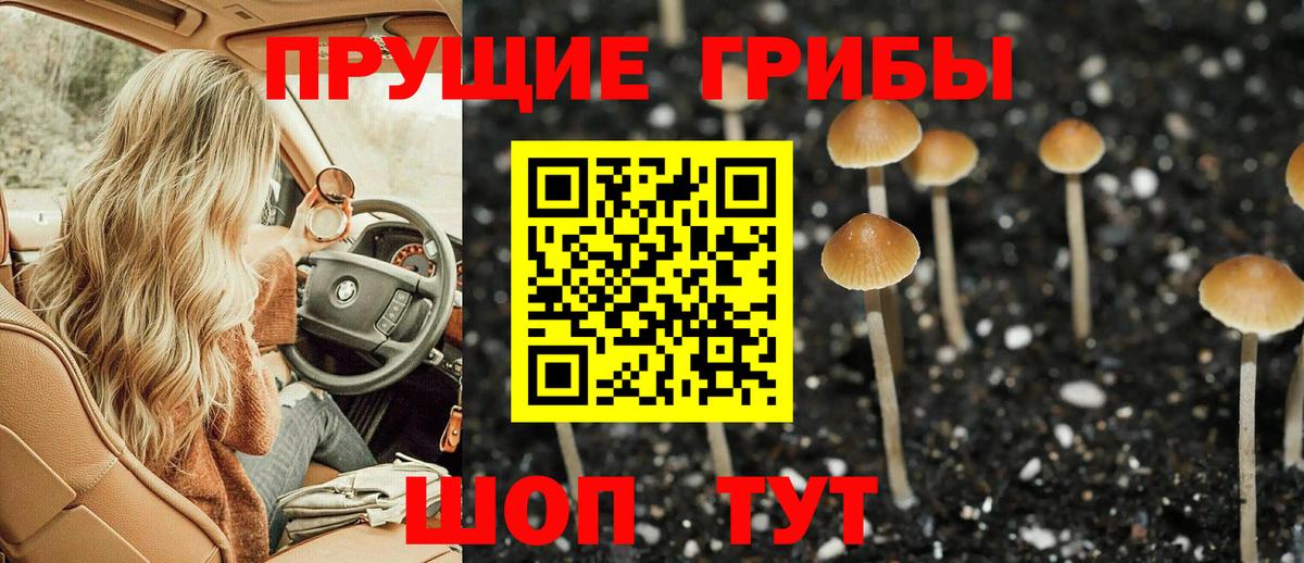 Советская Гавань  Галлюциногенные грибы прущие грибы  Вход с VPN  Псилоцибиновые грибы мицелий 